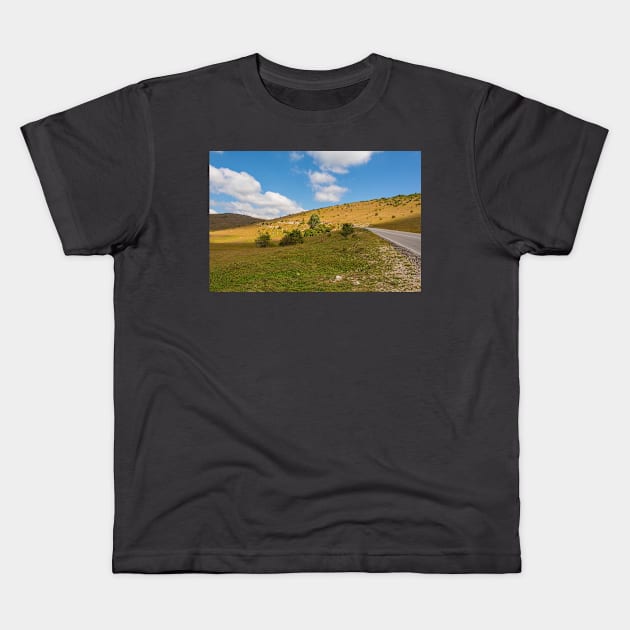 Bravsko Polje Landscape in Bosnia Kids T-Shirt by jojobob